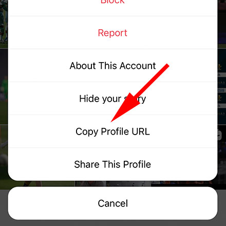 κουμπί Αντιγραφή διεύθυνσης URL προφίλ Instagram